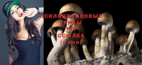 прущая мука Волоколамск
