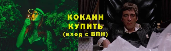 спиды Верея